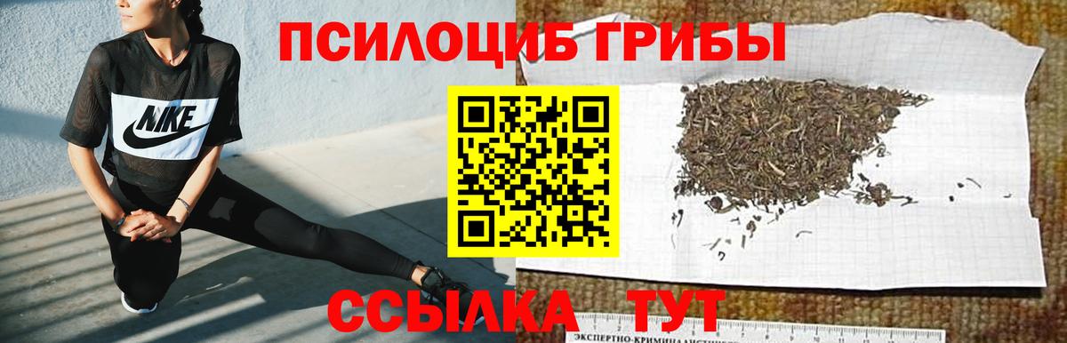 Псилоцибиновые грибы Cubensis Пушкино