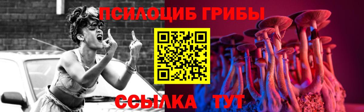 Галлюциногенные грибы ЛСД  Вход с VPN  купить  цена  Галлюциногенные грибы Magic Shrooms  Пушкино 